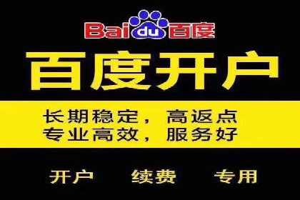 SEM广告投放的优化技巧与实战案例分享