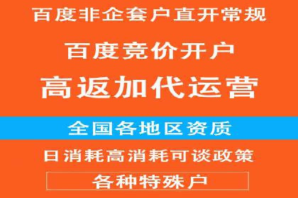 百度广告竞价策略详解：某电商平台的成功案例